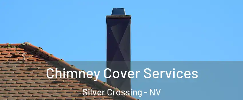 Chimney Cover Services Silver Crossing - NV