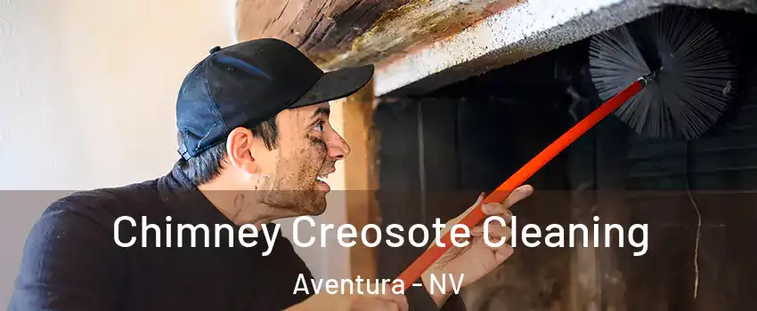 Chimney Creosote Cleaning Aventura - NV