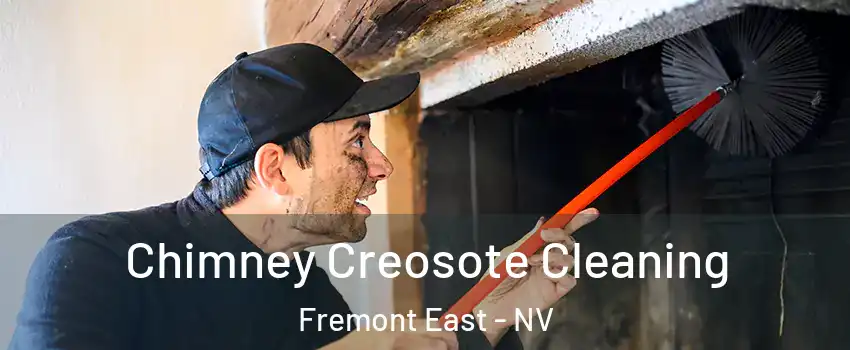 Chimney Creosote Cleaning Fremont East - NV