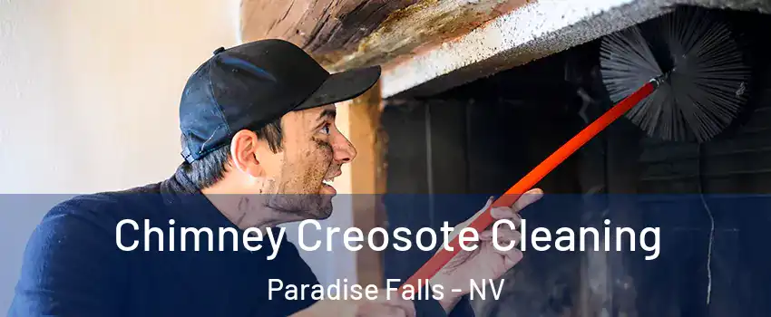 Chimney Creosote Cleaning Paradise Falls - NV