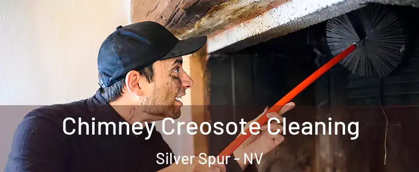 Chimney Creosote Cleaning Silver Spur - NV