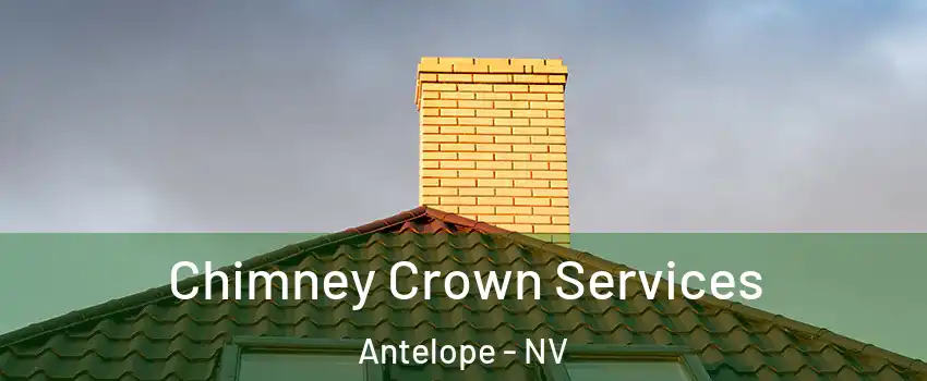 Chimney Crown Services Antelope - NV