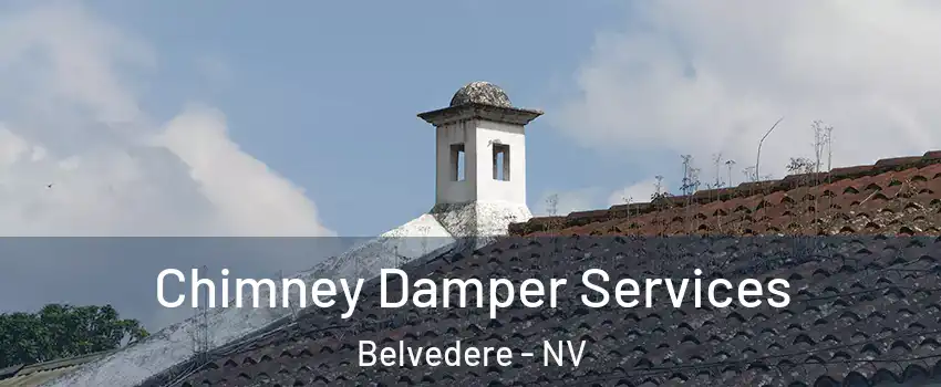 Chimney Damper Services Belvedere - NV