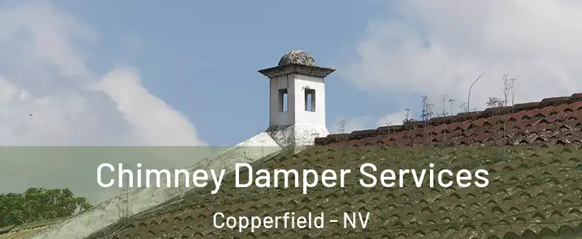 Chimney Damper Services Copperfield - NV