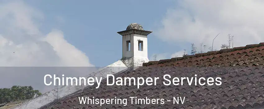 Chimney Damper Services Whispering Timbers - NV