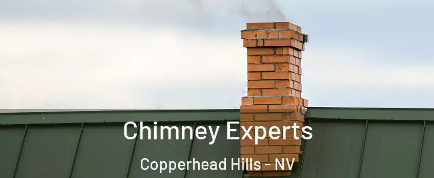 Chimney Experts Copperhead Hills - NV