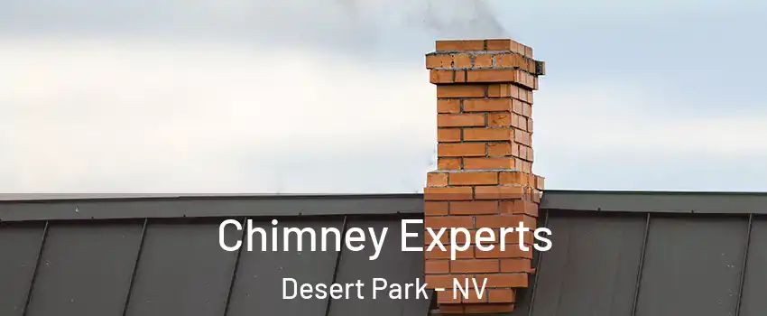 Chimney Experts Desert Park - NV