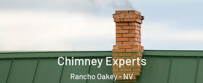 Chimney Experts Rancho Oakey - NV