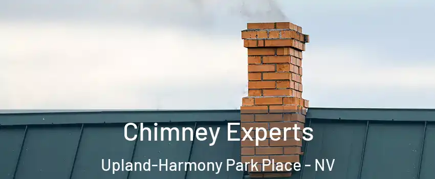 Chimney Experts Upland-Harmony Park Place - NV