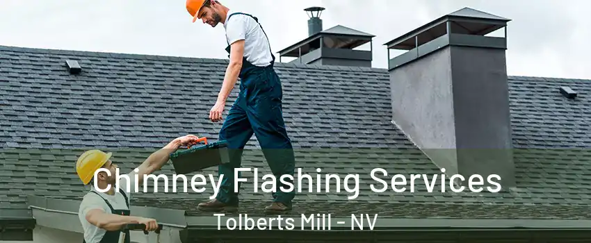 Chimney Flashing Services Tolberts Mill - NV