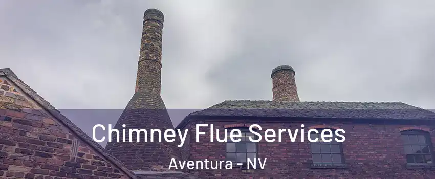 Chimney Flue Services Aventura - NV