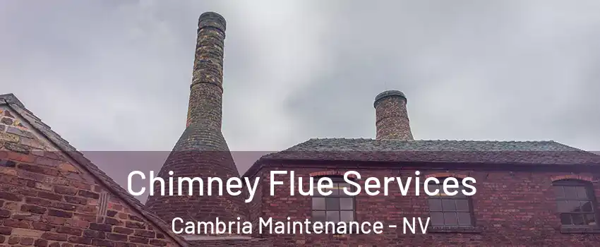 Chimney Flue Services Cambria Maintenance - NV