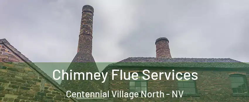 Chimney Flue Services Centennial Village North - NV