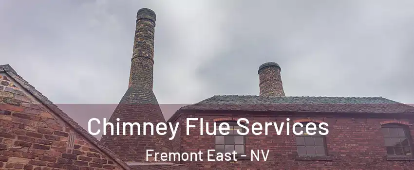 Chimney Flue Services Fremont East - NV