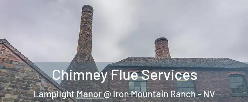 Chimney Flue Services Lamplight Manor @ Iron Mountain Ranch - NV