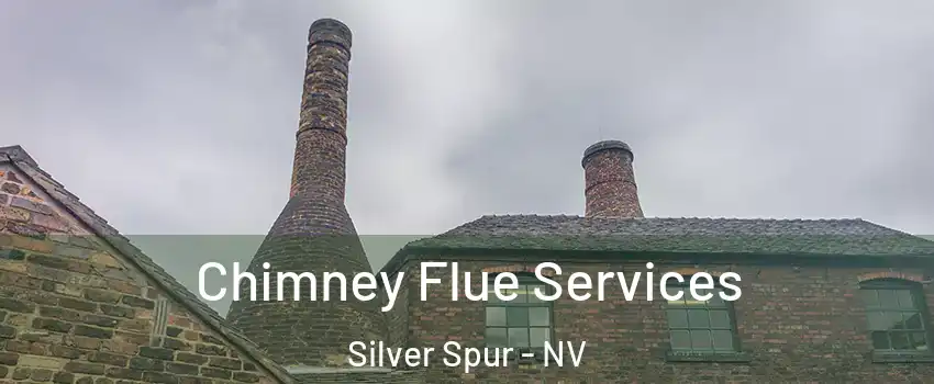 Chimney Flue Services Silver Spur - NV