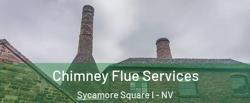 Chimney Flue Services Sycamore Square I - NV