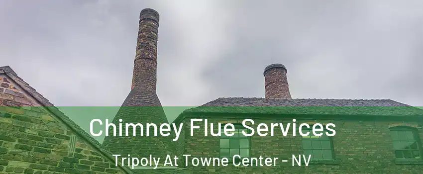 Chimney Flue Services Tripoly At Towne Center - NV