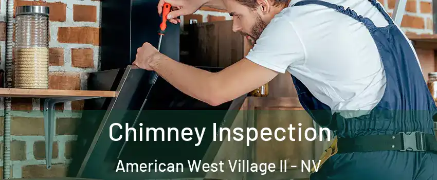 Chimney Inspection American West Village II - NV