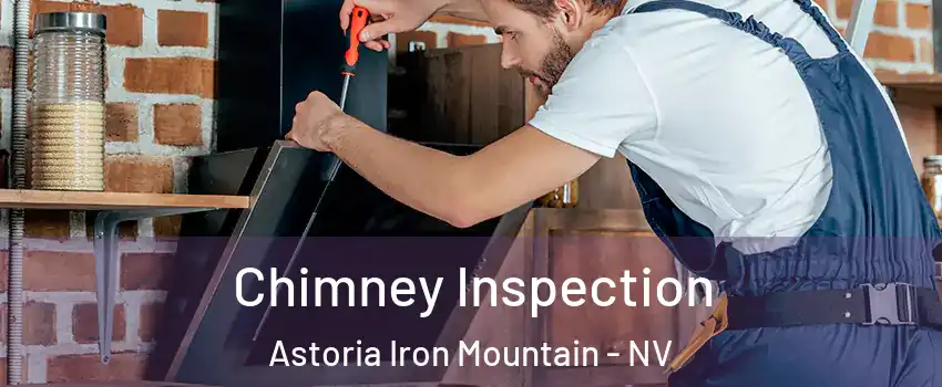 Chimney Inspection Astoria Iron Mountain - NV