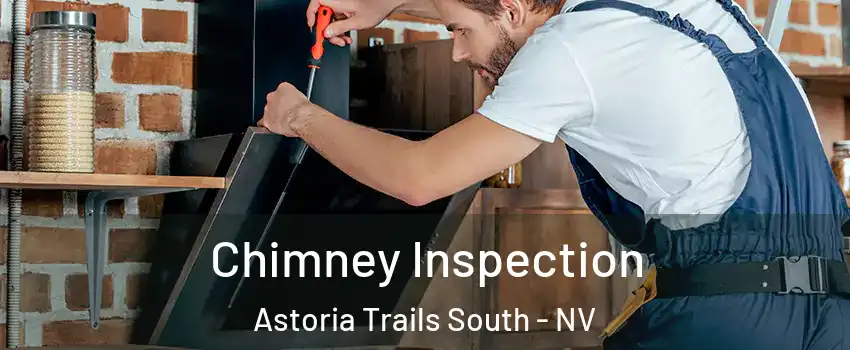 Chimney Inspection Astoria Trails South - NV