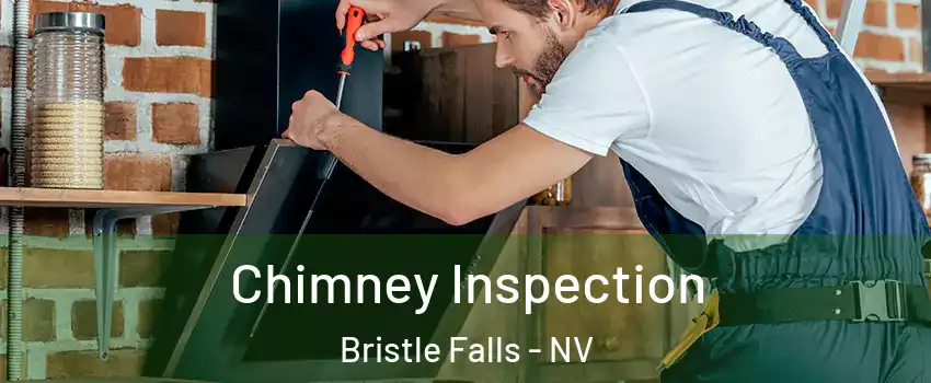 Chimney Inspection Bristle Falls - NV