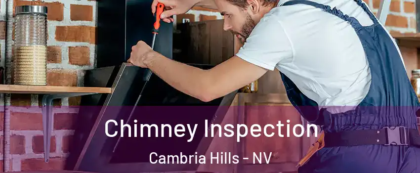 Chimney Inspection Cambria Hills - NV