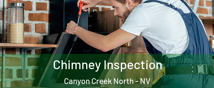 Chimney Inspection Canyon Creek North - NV