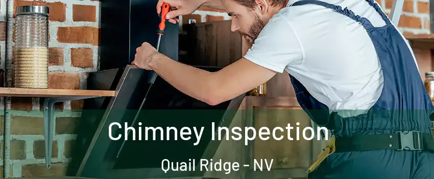 Chimney Inspection Quail Ridge - NV