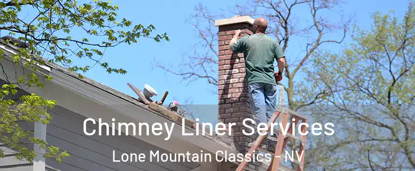 Chimney Liner Services Lone Mountain Classics - NV