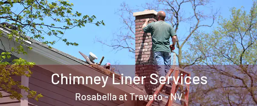 Chimney Liner Services Rosabella at Travato - NV