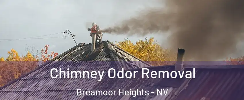 Chimney Odor Removal Breamoor Heights - NV