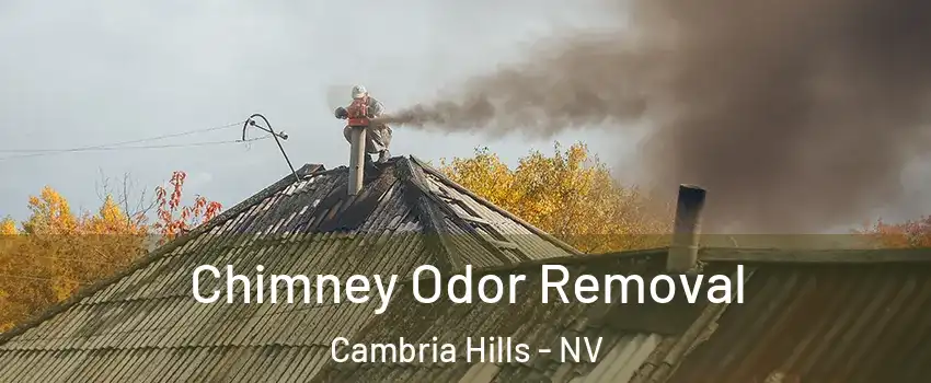 Chimney Odor Removal Cambria Hills - NV