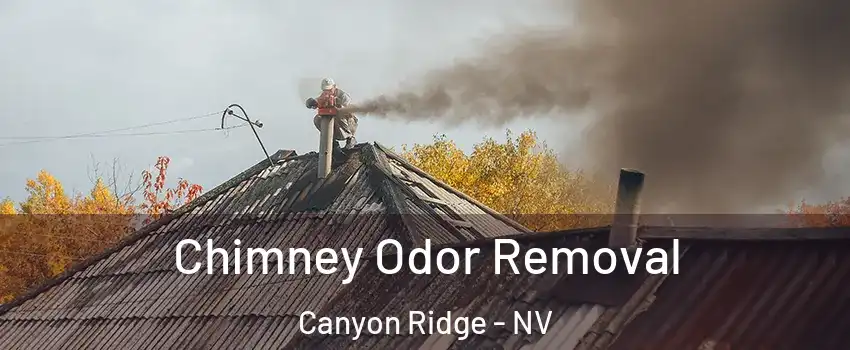 Chimney Odor Removal Canyon Ridge - NV