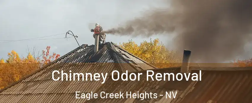 Chimney Odor Removal Eagle Creek Heights - NV