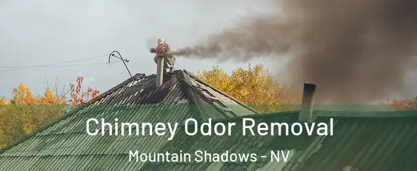 Chimney Odor Removal Mountain Shadows - NV