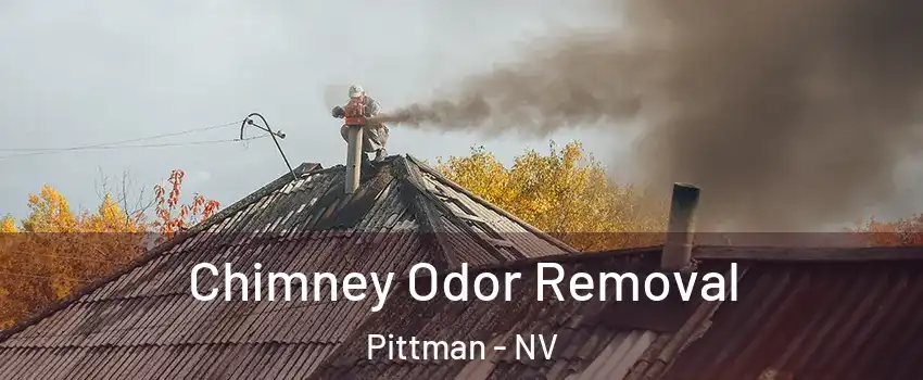 Chimney Odor Removal Pittman - NV