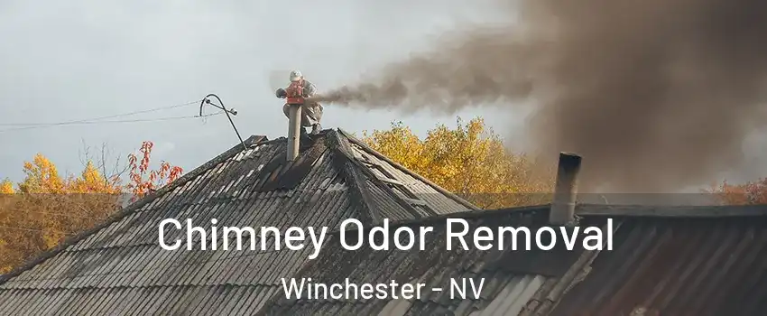 Chimney Odor Removal Winchester - NV