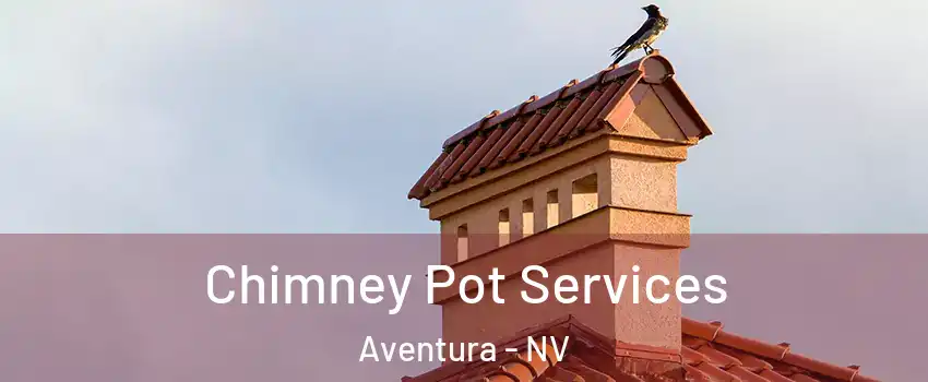 Chimney Pot Services Aventura - NV