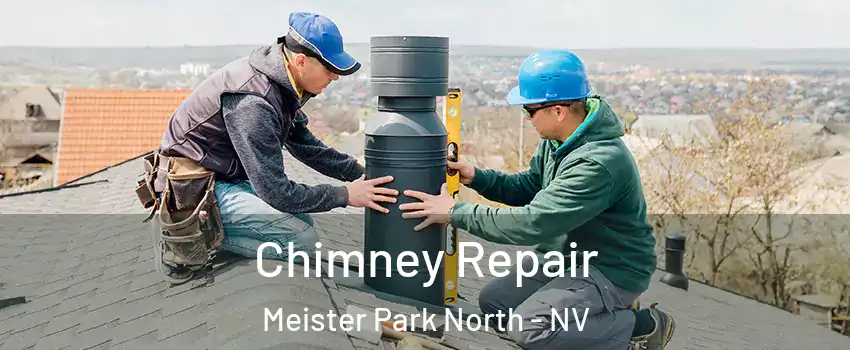 Chimney Repair Meister Park North - NV