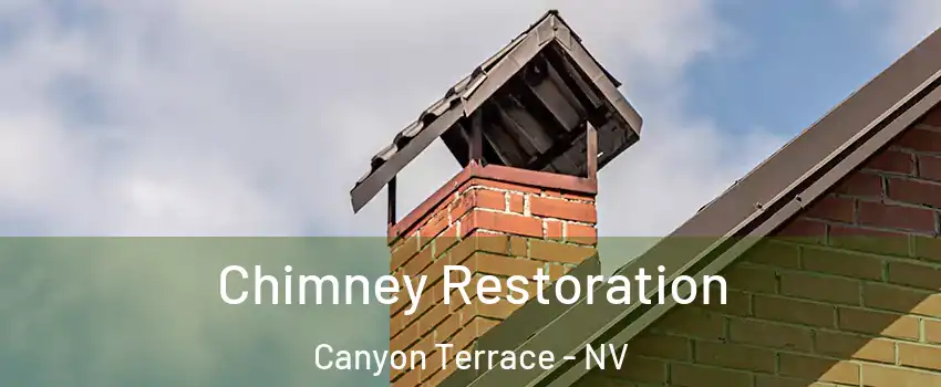 Chimney Restoration Canyon Terrace - NV