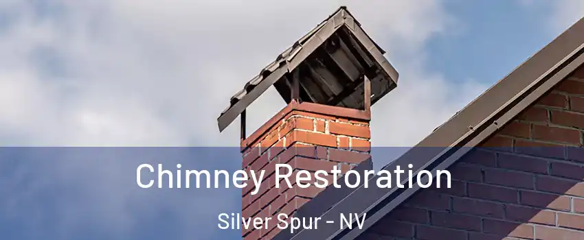 Chimney Restoration Silver Spur - NV