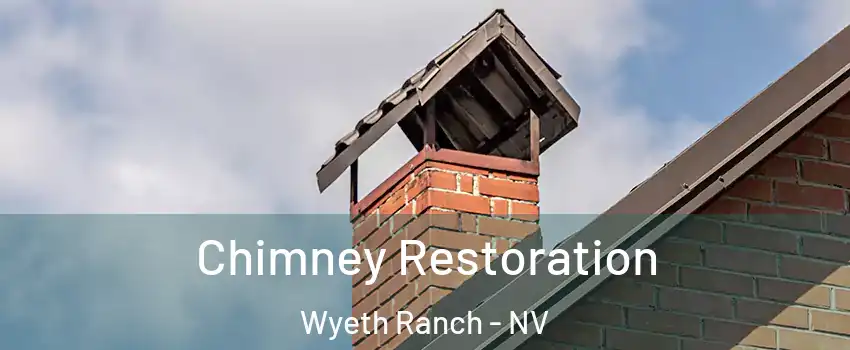 Chimney Restoration Wyeth Ranch - NV