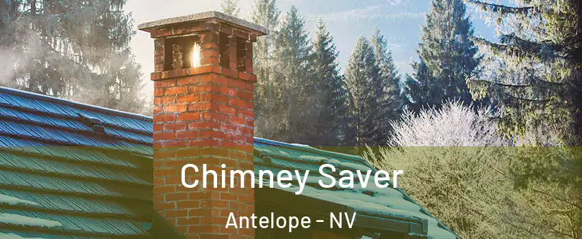 Chimney Saver Antelope - NV