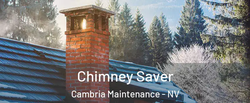 Chimney Saver Cambria Maintenance - NV