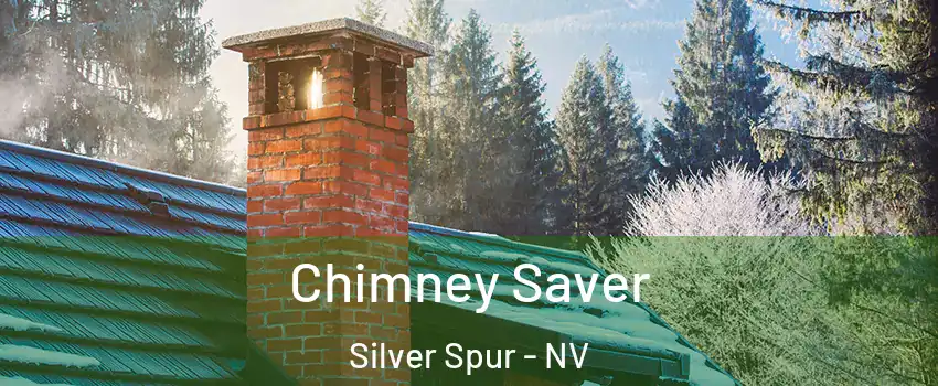 Chimney Saver Silver Spur - NV