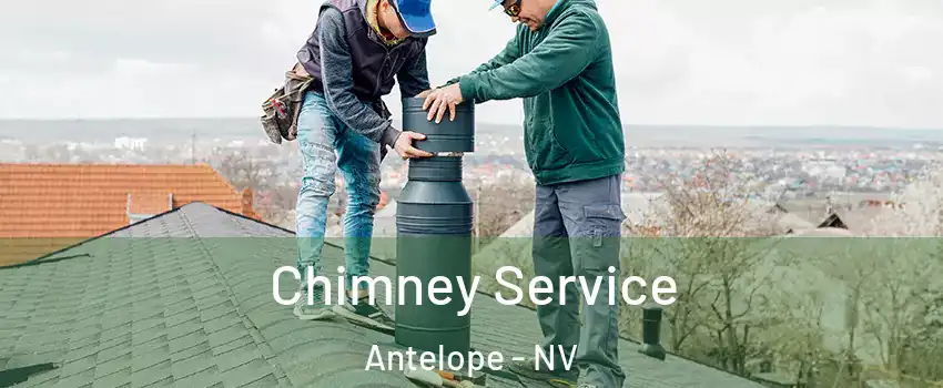 Chimney Service Antelope - NV