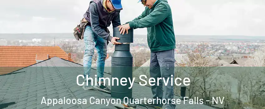 Chimney Service Appaloosa Canyon Quarterhorse Falls - NV