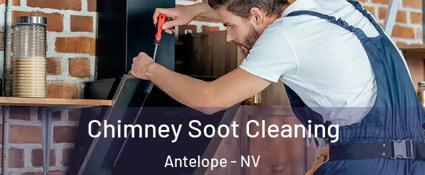 Chimney Soot Cleaning Antelope - NV