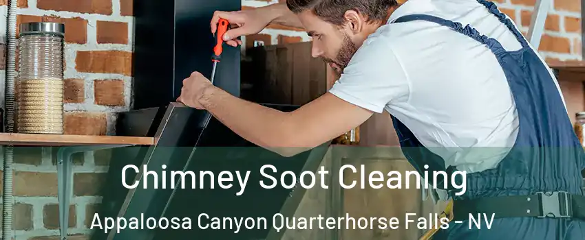 Chimney Soot Cleaning Appaloosa Canyon Quarterhorse Falls - NV